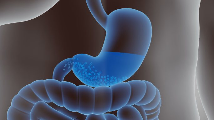 胃充满食物特写。机理动画肠胃特效胃肠道