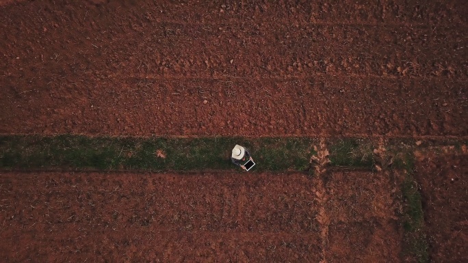 农妇用数字平板电脑检查有机土壤