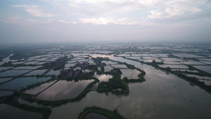 4K湖州娄港鱼塘河流桑基鱼塘