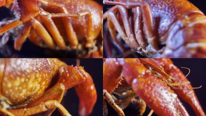 小龙虾小海鲜盱眙大排档(12)