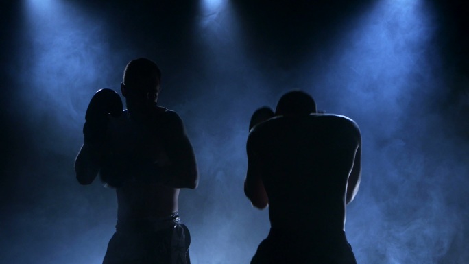 两个拳击手在拳击场里打斗。