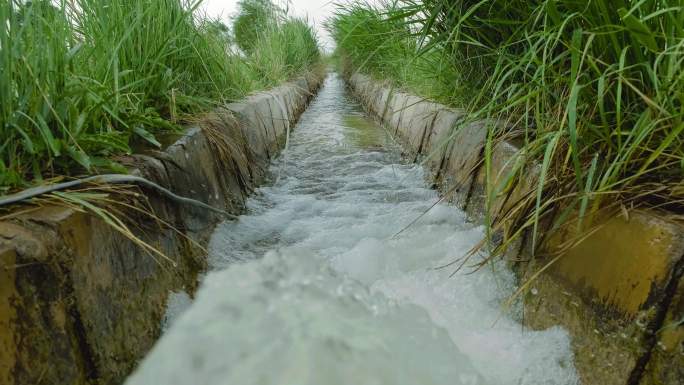 农田灌溉水利农业水稻灌溉