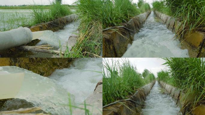 农田灌溉水利农业水稻灌溉