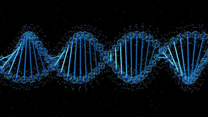 DNA分子三维动画演示