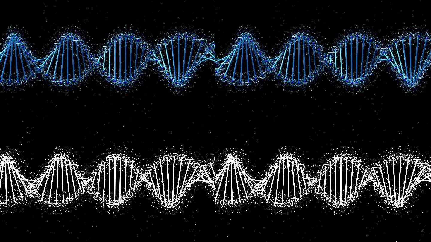 DNA分子三维动画演示