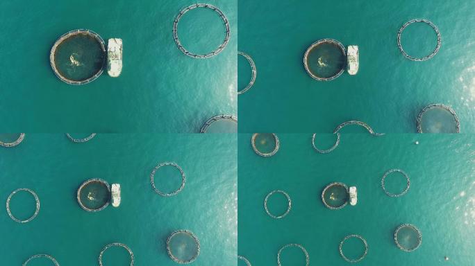 空中拍摄的渔场捕鱼渔民阳澄湖大闸蟹渔船撒