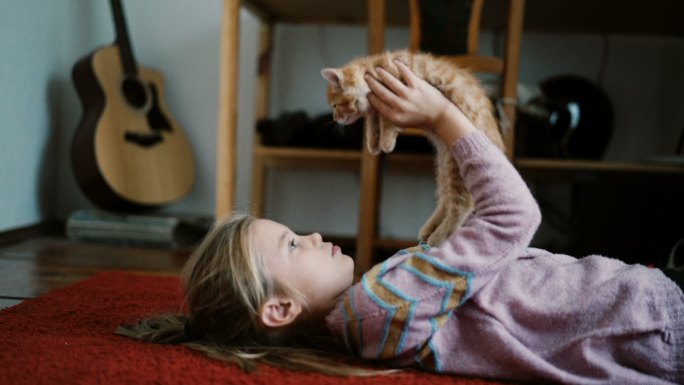 小女孩在室内和小猫玩耍
