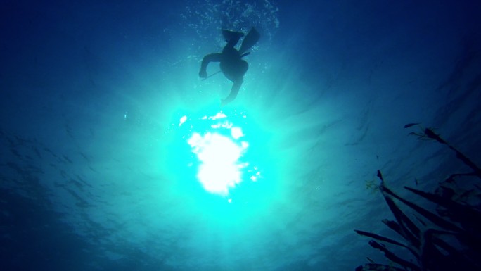 在蓝海潜水海底世界海洋生物三亚潜水深海热