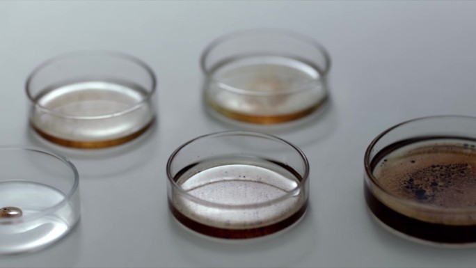 科学实验室实验器材培养基基础培养培养皿