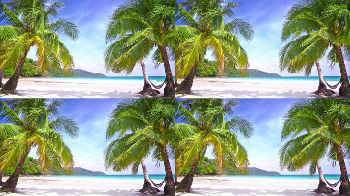 热带海滩的棕榈树三亚纪录片风景海南海岛