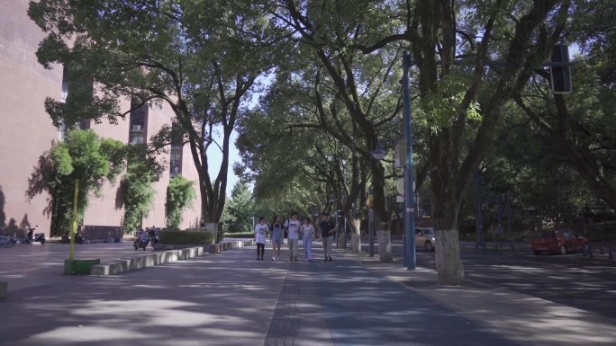 大学城行走的学生