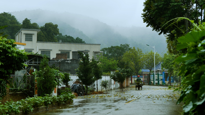 乡村雨景