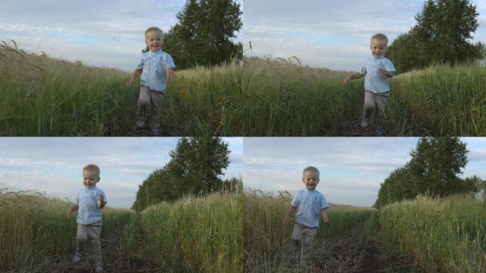 在田野里奔跑的小男孩