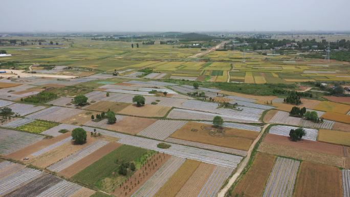 丰收的大地丰收大地调色板