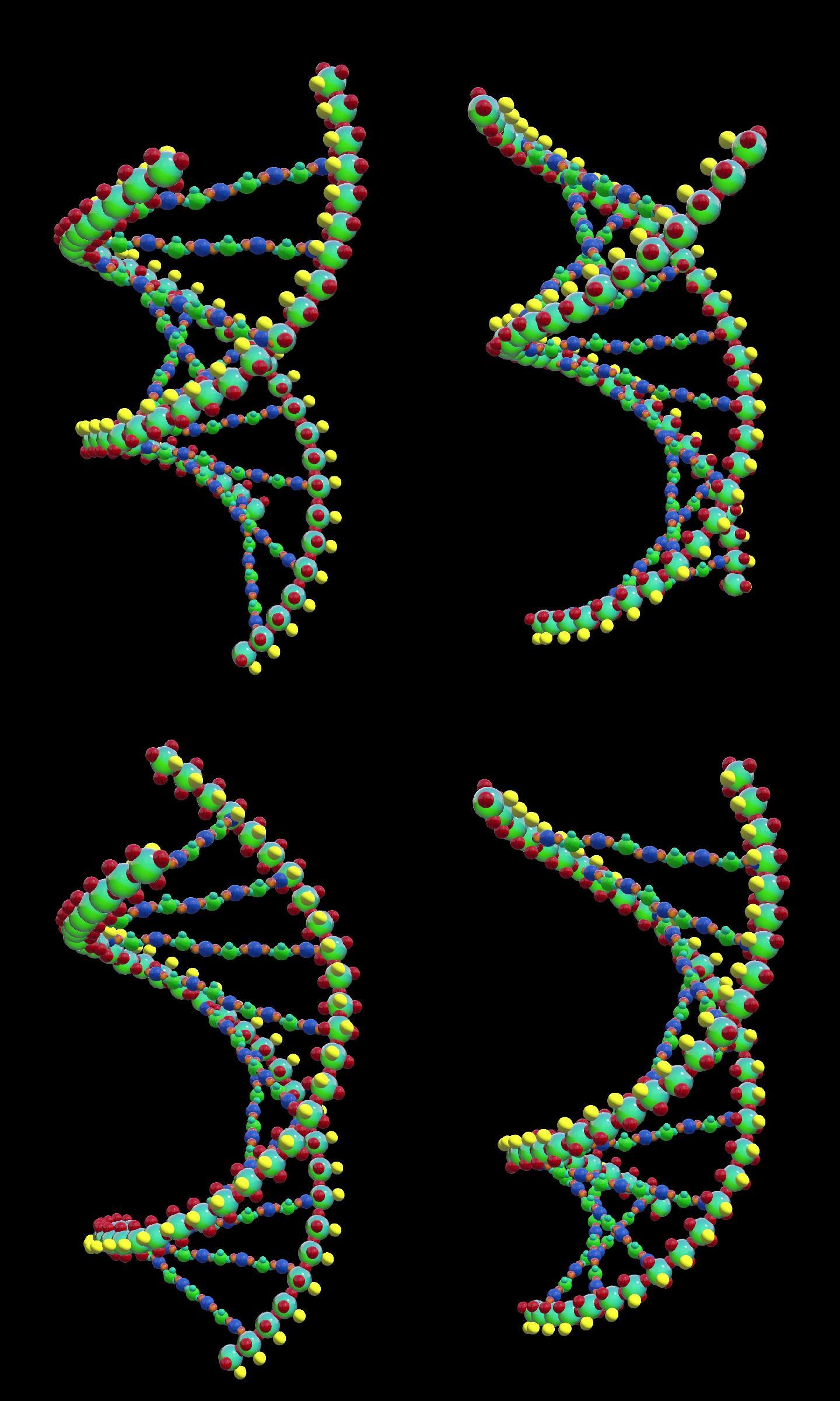 dna分子链2