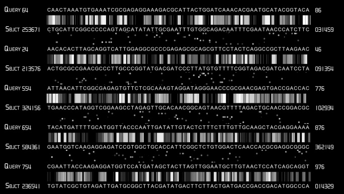 DNA测序计算机监控生物学分析