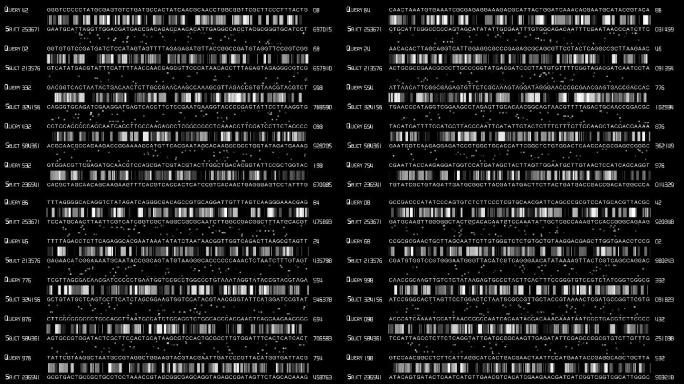 DNA测序计算机监控生物学分析