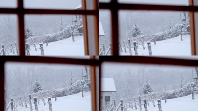 透过窗户可以看到冬季葡萄园的宁静景色