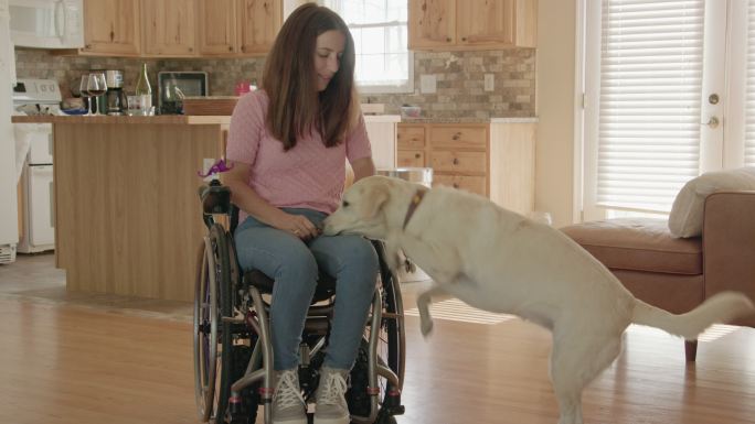 坐在轮椅上的年轻女子与她的狗互动
