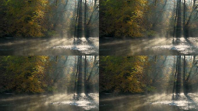 德国乌珀河面上的晨雾