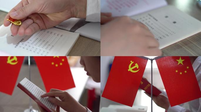 红色主题教育共产党章程学习