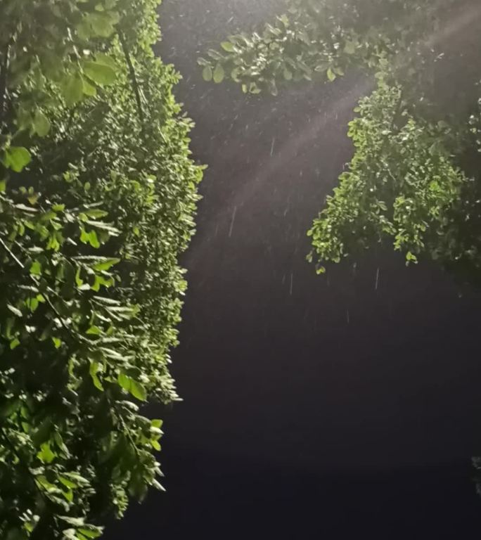 下雨雨滴视频