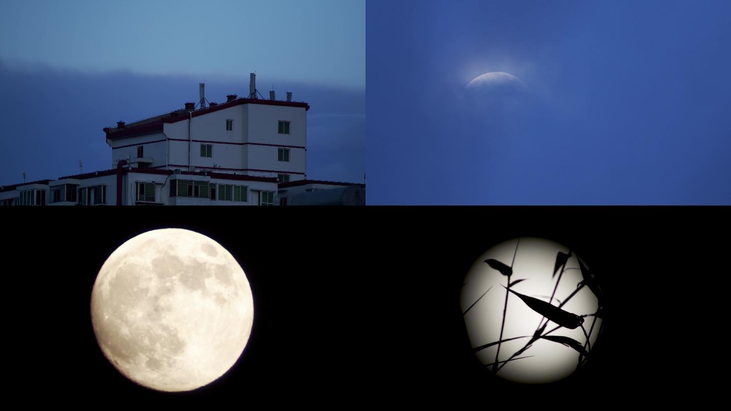 月明星稀 3840x2160 高清视频素材下载 编号 实拍视频 Vj师网www Vjshi Com 月明星稀 3840x2160 高清视频素材下载 编号 实拍视频 Vj师网www Vjshi Com