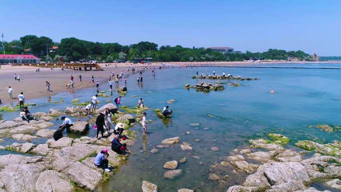 北戴河鸽子窝礁石海滩