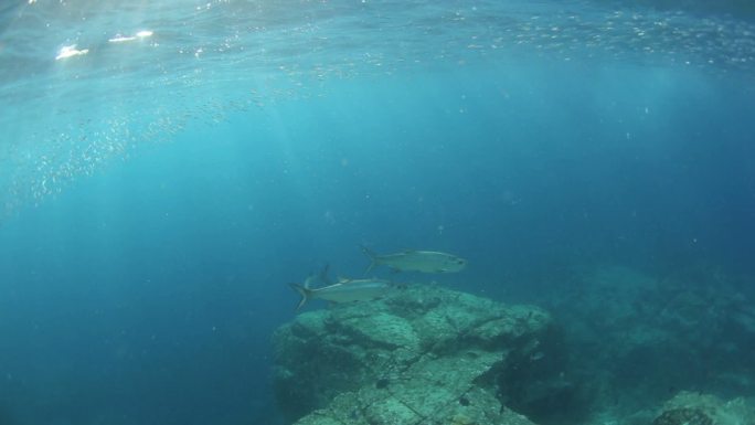 清澈的加勒比海水域