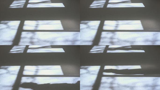 窗户和男人的影子