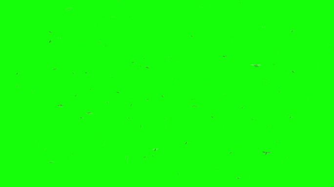 蚊群绿幕抠像绿屏绿布后期抠图视频素材