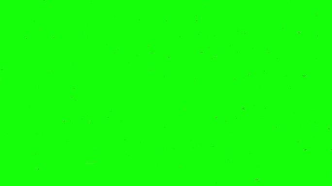 蚊群绿幕抠像绿屏绿布后期抠图视频素材