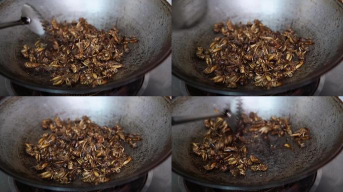 烤蟋蟀、锅内炒虫子、烹调