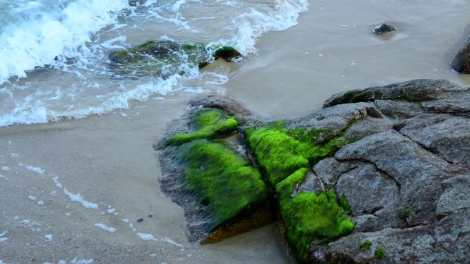 大梅沙海边浪花拍岸边岩石青苔实拍