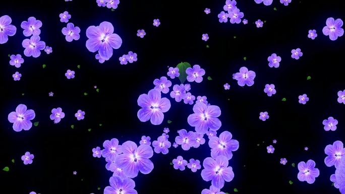 紫罗兰非洲紫罗兰老鹳草
