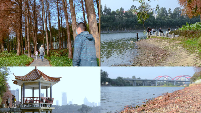 深圳洪湖公园实拍水边风景视频素材