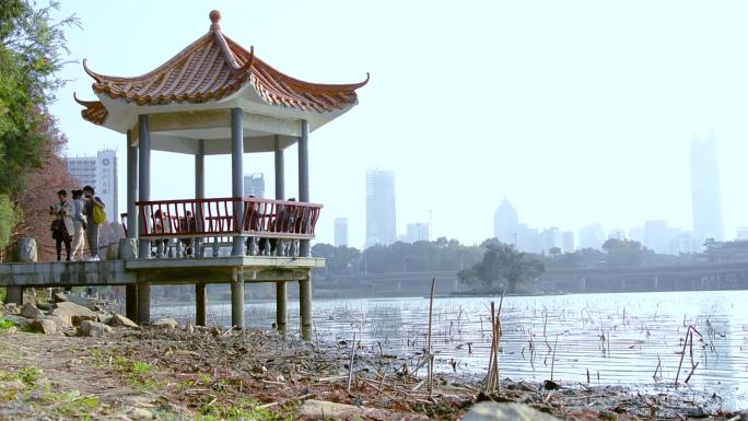 深圳洪湖公园实拍水边风景视频素材