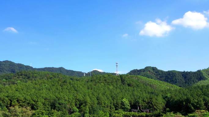 粤北森林山区林业蓝天航拍