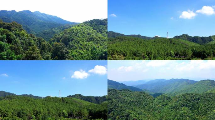 粤北森林山区林业蓝天航拍