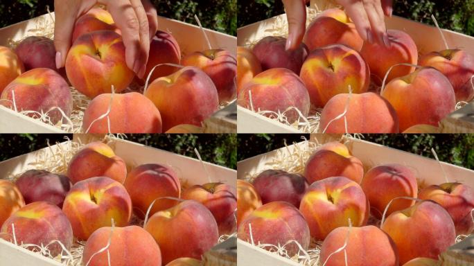 把成熟多汁的桃子放在木箱里