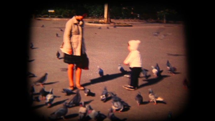 60年代公园广场喂鸟