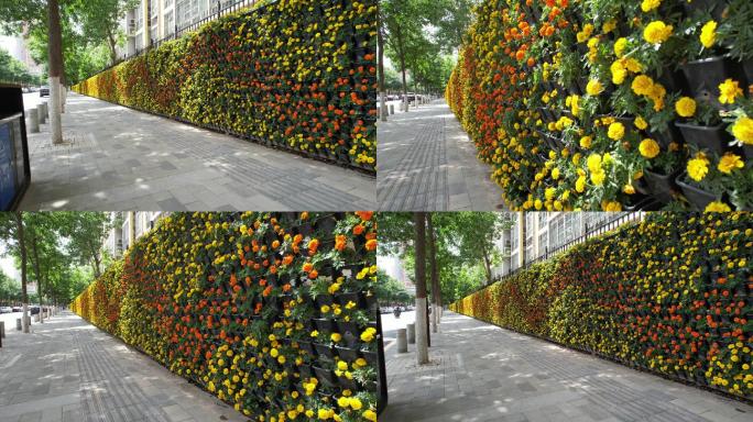 城市街景绿化装饰花墙