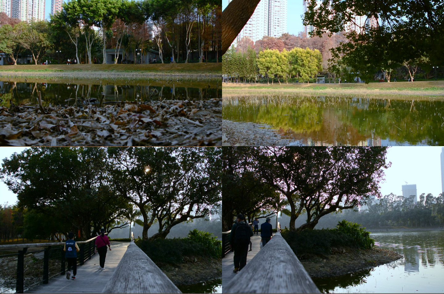 实拍深圳洪湖公园视频素材水边湖泊木桥