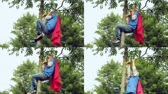 小男孩爬在树上