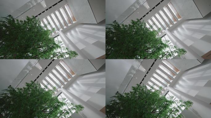 植物建筑与光影