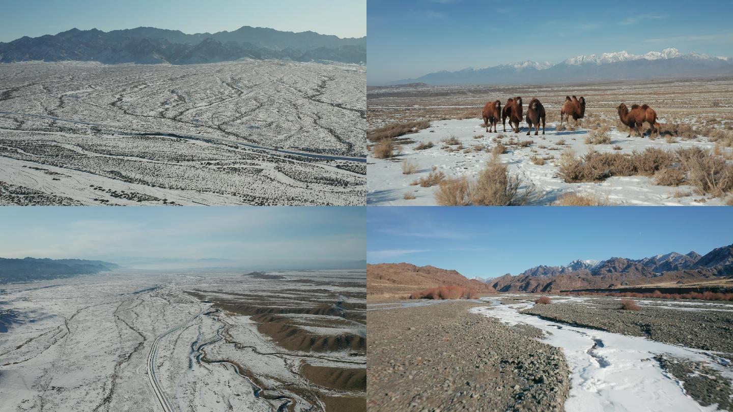 新疆骆驼&amp;雪山