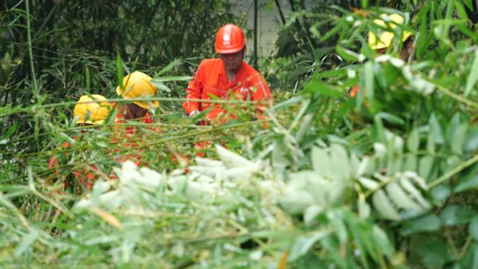 共产党员党建电力工人雨天砍树除危