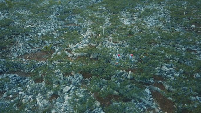 工程师野外测量技术人员登山