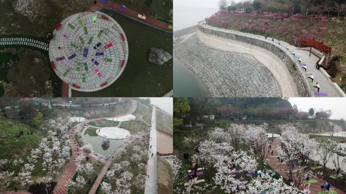 屈原祠花海瑜伽