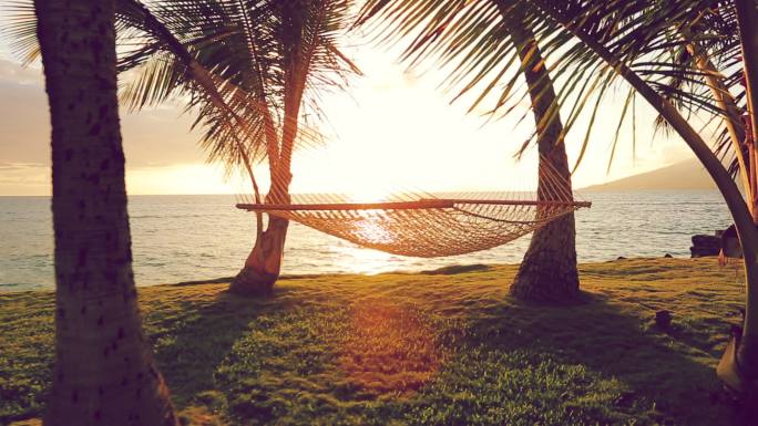 日落时的吊床和棕榈树